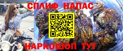 не бодяженный Нальчик