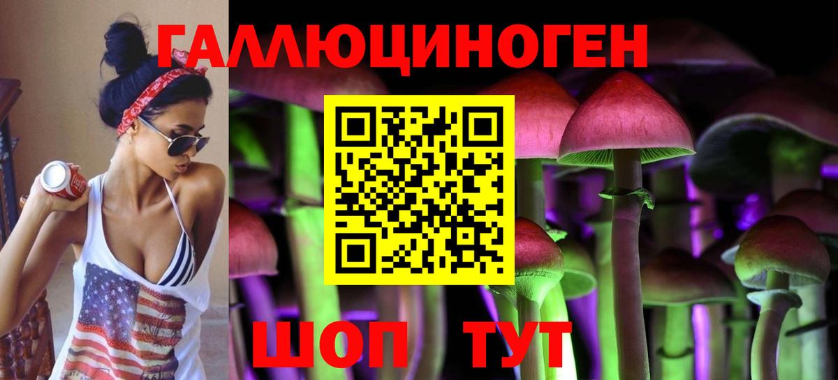 Галлюциногенные грибы Psilocybe Глазов